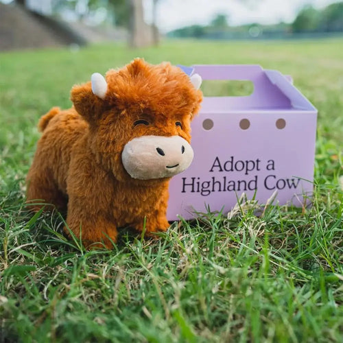 Highland Cow Legend Cute Fluffy Bull Plush Stuffed Animal