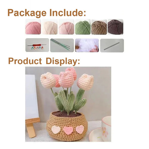 Strawberry Plant Potted Handmade Crochet Knitting Kit for Beginner