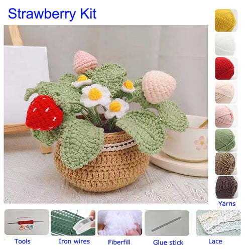 Strawberry Plant Potted Handmade Crochet Knitting Kit